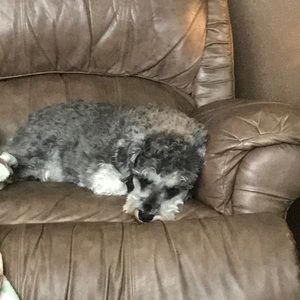 Meet your Posher, Anita